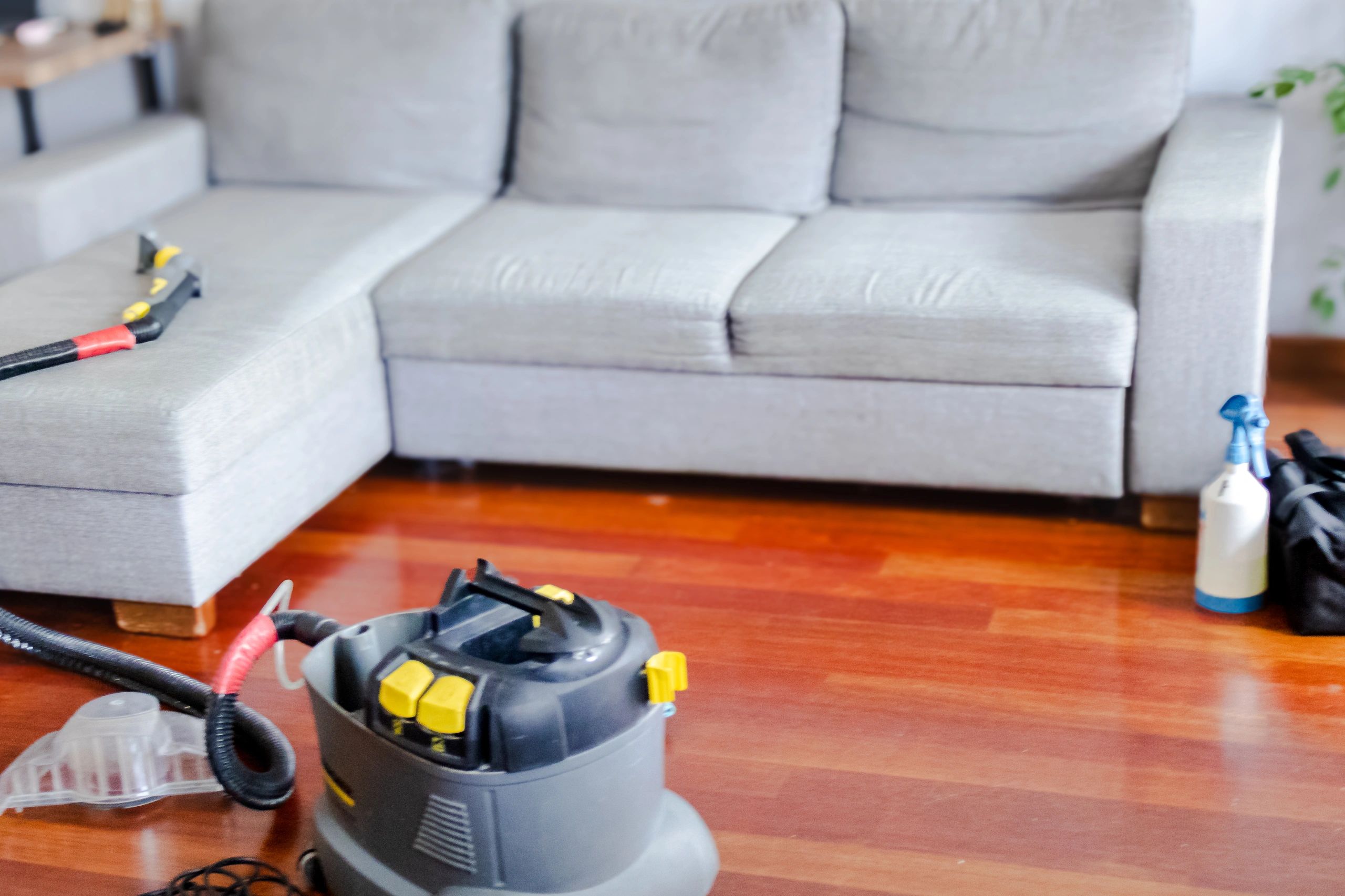 Professional home cleaning service in a modern living room